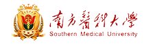 同栏目条目通常按时间倒序排列